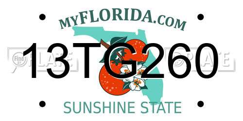 13TG260 Florida License Plate