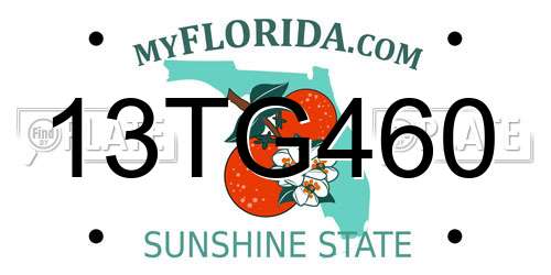 13TG460 Florida License Plate