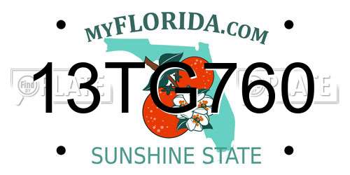 13TG760 Florida License Plate