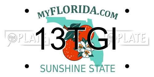 13TGI Florida License Plate