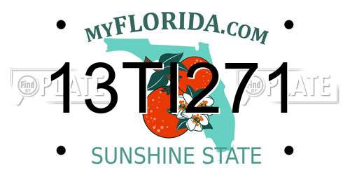 13TI271 Florida License Plate