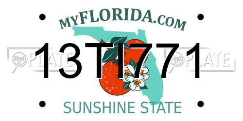 13TI771 Florida License Plate