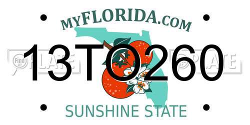 13TO260 Florida License Plate