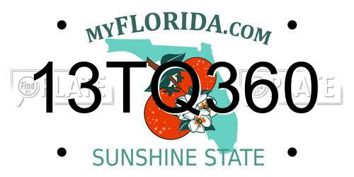 13TQ360 Florida License Plate