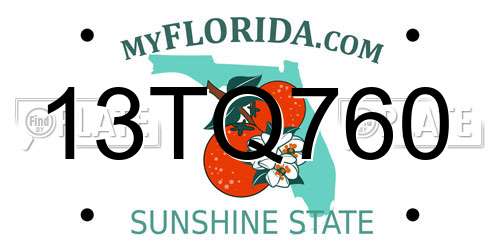 13TQ760 Florida License Plate