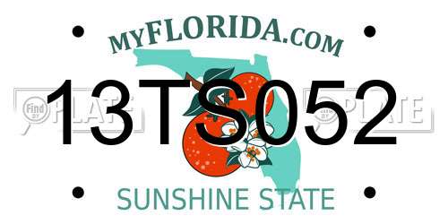 13TS052 Florida License Plate