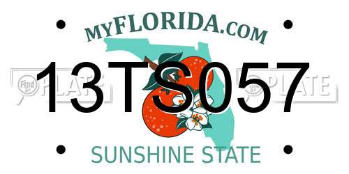 13TS057 Florida License Plate