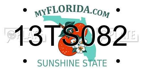 13TS082 Florida License Plate