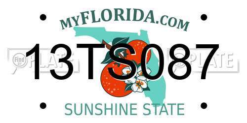 13TS087 Florida License Plate