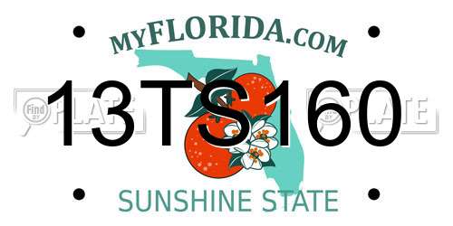 13TS160 Florida License Plate