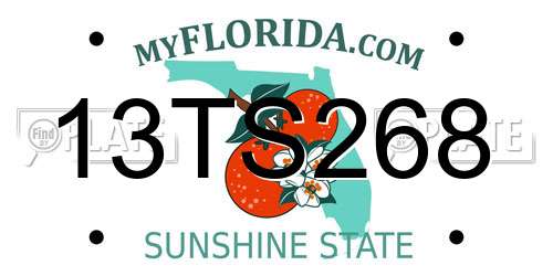 13TS268 Florida License Plate