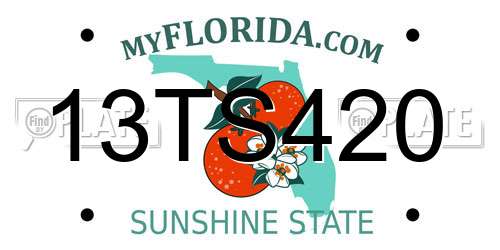 13TS420 Florida License Plate