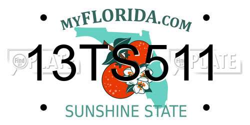 13TS511 Florida License Plate