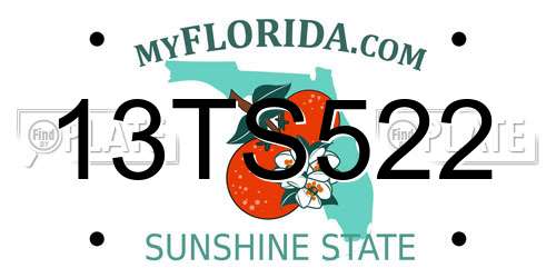 13TS522 Florida License Plate