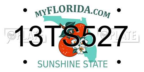 13TS527 Florida License Plate