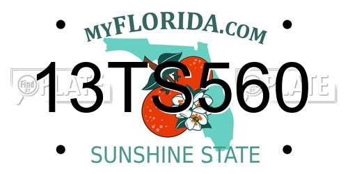 13TS560 Florida License Plate