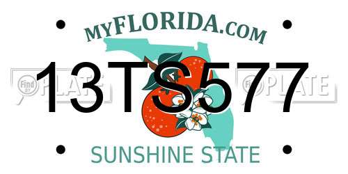 13TS577 Florida License Plate
