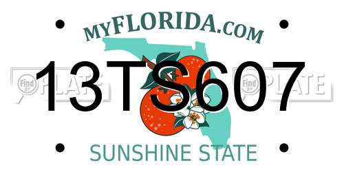 13TS607 Florida License Plate