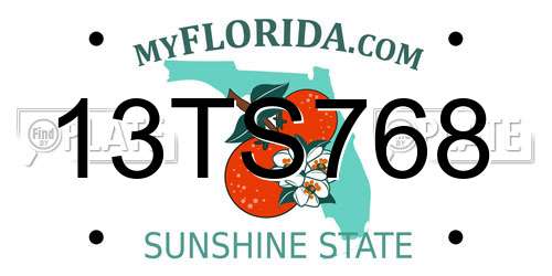 13TS768 Florida License Plate