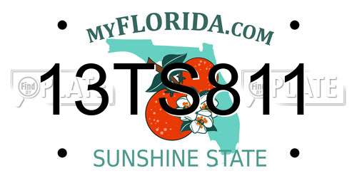 13TS811 Florida License Plate