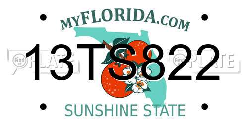 13TS822 Florida License Plate