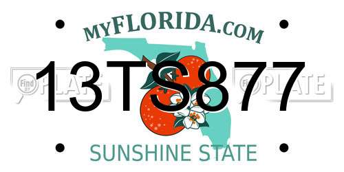 13TS877 Florida License Plate