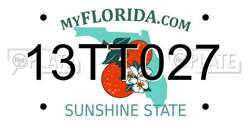 13TT027 Florida License Plate