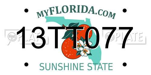 13TT077 Florida License Plate