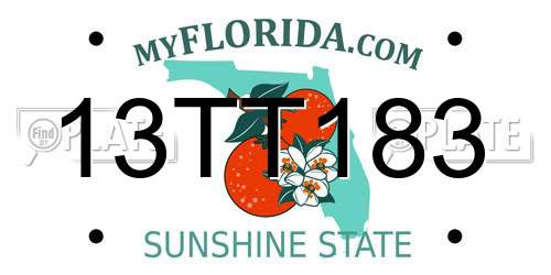 13TT183 Florida License Plate