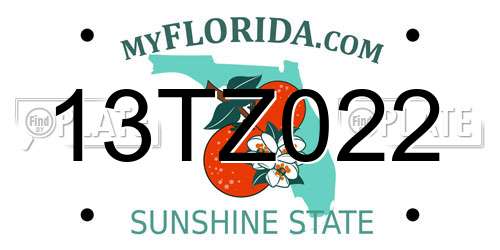 13TZ022 Florida License Plate