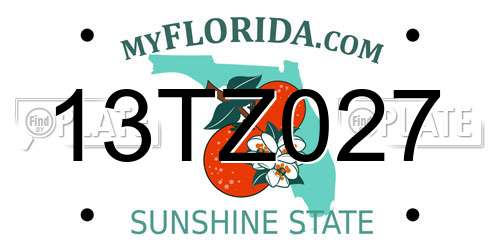 13TZ027 Florida License Plate