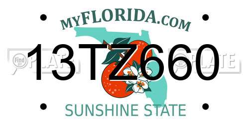 13TZ660 Florida License Plate