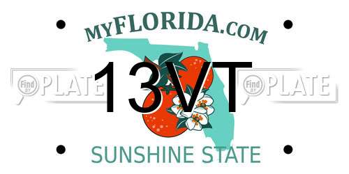 13VT Florida License Plate