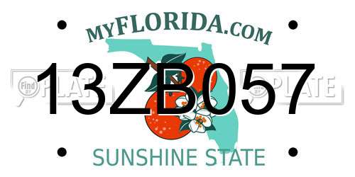 13ZB057 Florida License Plate