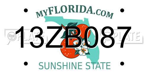 13ZB087 Florida License Plate