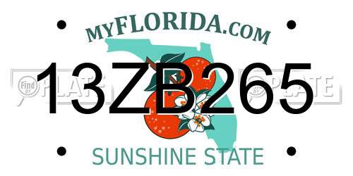 13ZB265 Florida License Plate