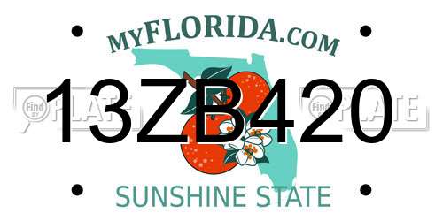 13ZB420 Florida License Plate