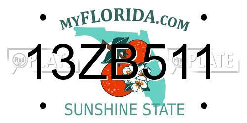 13ZB511 Florida License Plate