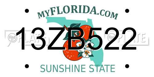 13ZB522 Florida License Plate