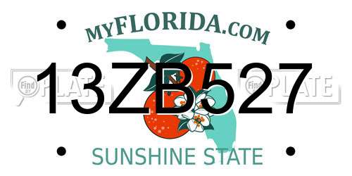 13ZB527 Florida License Plate