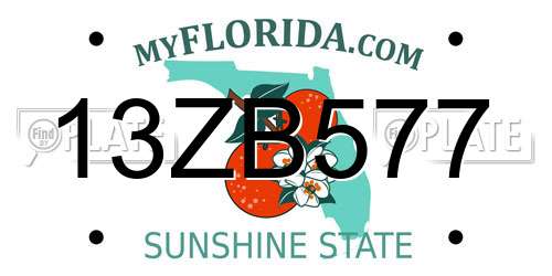 13ZB577 Florida License Plate