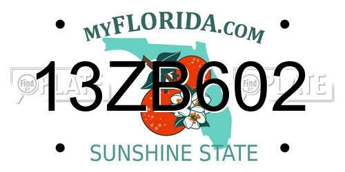 13ZB602 Florida License Plate