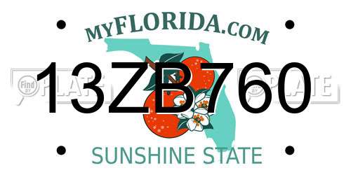 13ZB760 Florida License Plate