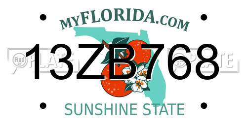 13ZB768 Florida License Plate