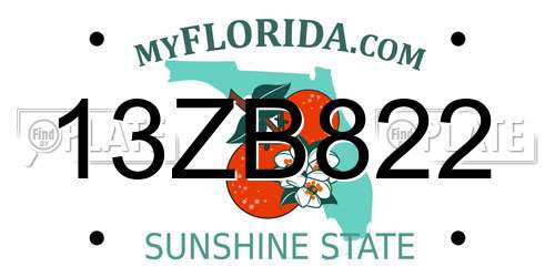 13ZB822 Florida License Plate