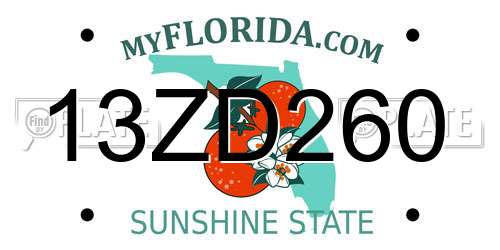 13ZD260 Florida License Plate