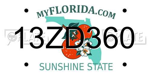 13ZD360 Florida License Plate