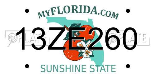 13ZE260 Florida License Plate