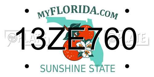 13ZE760 Florida License Plate