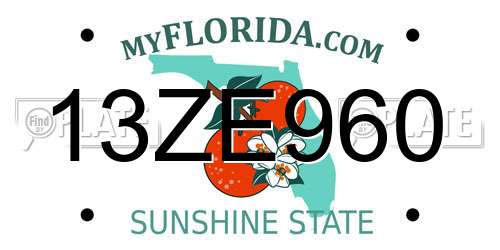 13ZE960 Florida License Plate